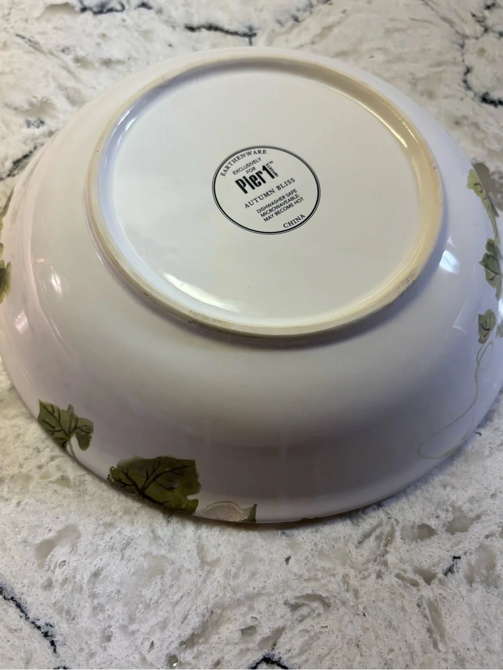 Pier one Autumn Bliss pair of bowls. READ